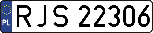 RJS22306