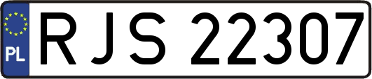 RJS22307