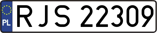 RJS22309