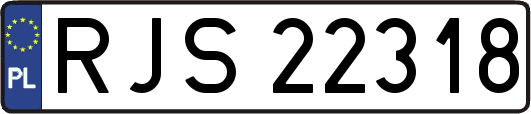 RJS22318