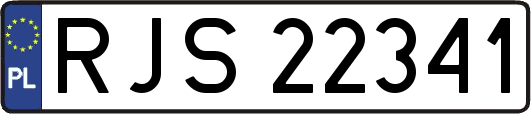 RJS22341