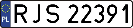 RJS22391