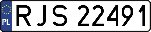 RJS22491