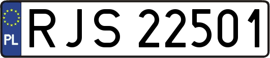 RJS22501