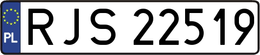 RJS22519