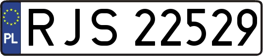 RJS22529