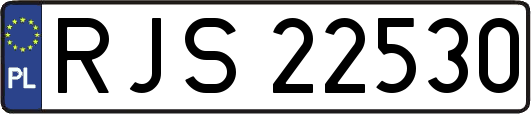 RJS22530