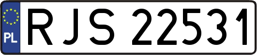 RJS22531
