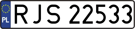 RJS22533