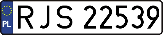 RJS22539