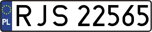 RJS22565