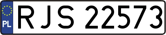 RJS22573
