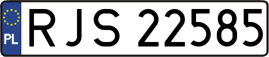 RJS22585