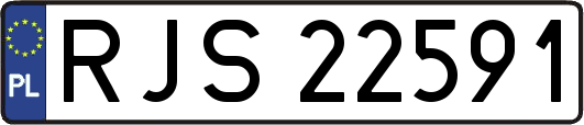 RJS22591