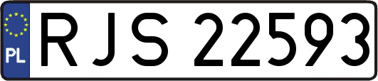 RJS22593