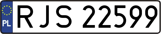 RJS22599