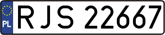 RJS22667