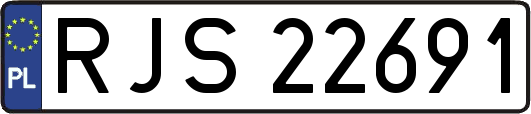 RJS22691