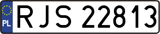 RJS22813