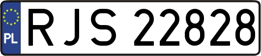 RJS22828