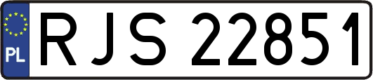 RJS22851