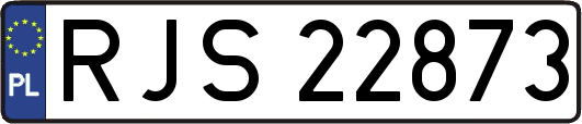 RJS22873