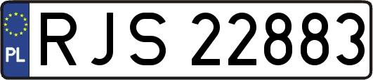 RJS22883