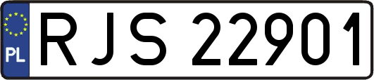 RJS22901