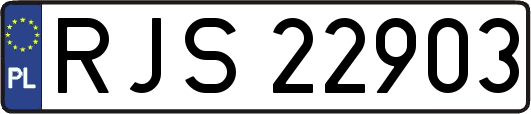 RJS22903