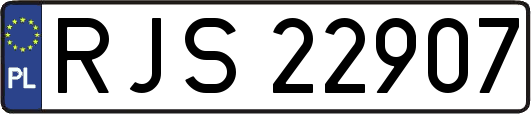 RJS22907