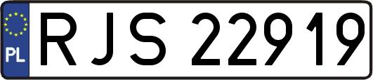 RJS22919