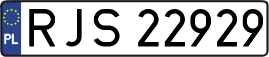 RJS22929