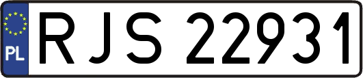 RJS22931