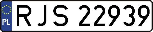 RJS22939