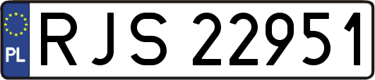 RJS22951
