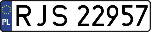 RJS22957