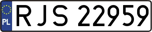 RJS22959
