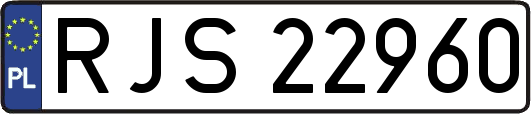 RJS22960