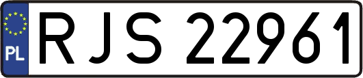RJS22961