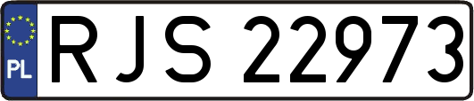 RJS22973