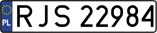 RJS22984