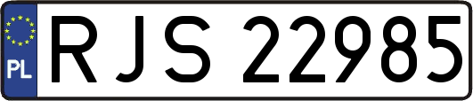 RJS22985