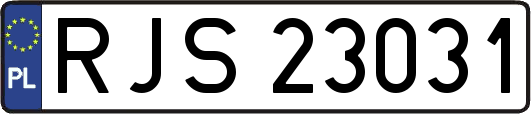 RJS23031