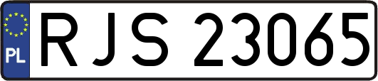 RJS23065