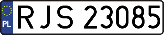 RJS23085