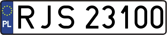 RJS23100