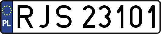 RJS23101