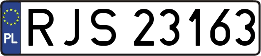 RJS23163