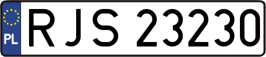 RJS23230