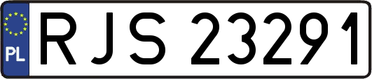 RJS23291